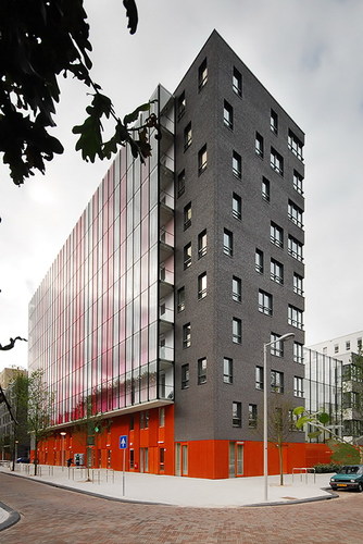 11_large