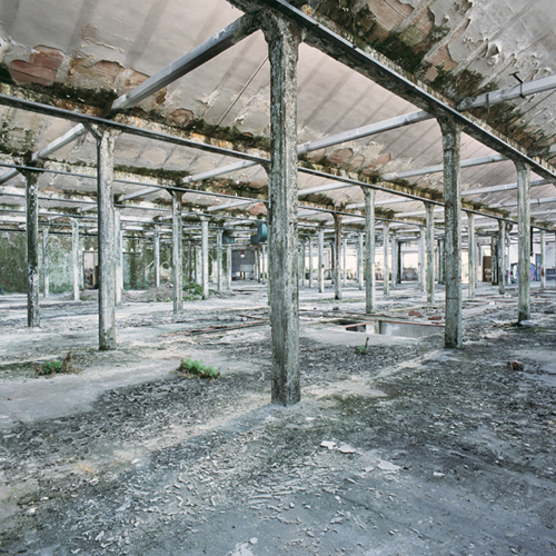 01_large