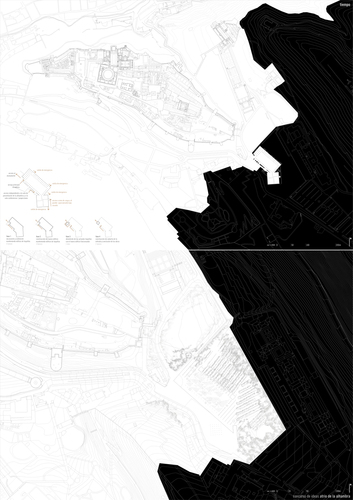 P01_large