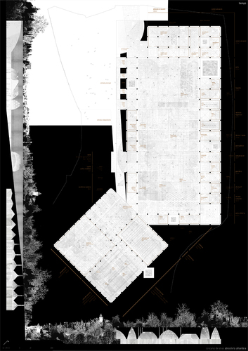 P02_large