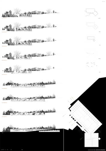 P03_large