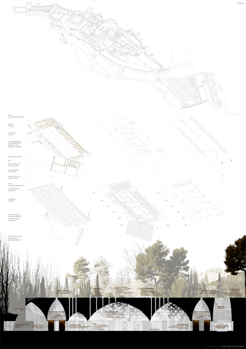 P04_large