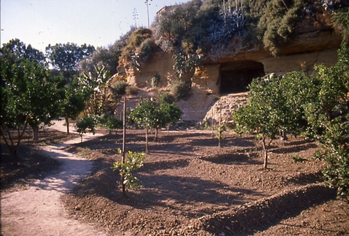 Casedde__for_crop_irrigation__large