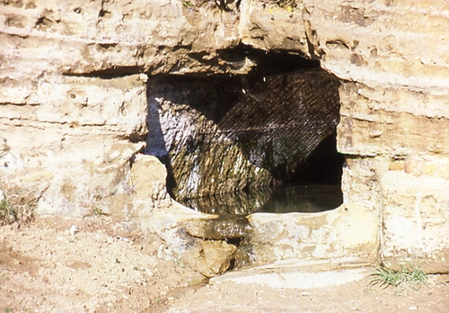 Hypogea_large