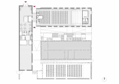 01-planta_large