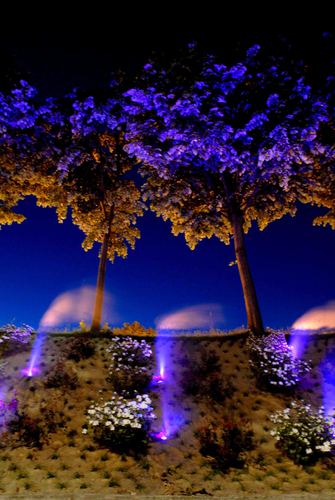 Dsc_8575_large