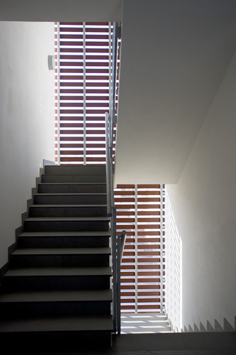 Immag