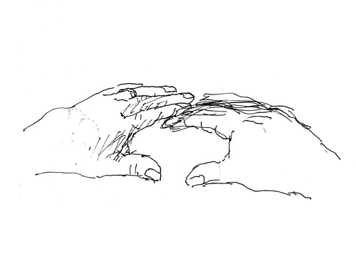 Concept_mani_large