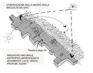 Schizzo_1_large
