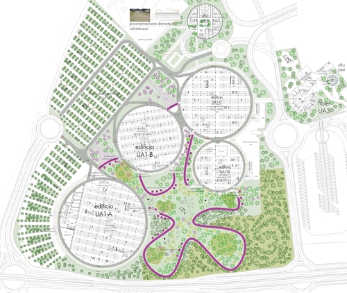 001019-02_plan_gen_large