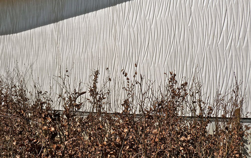 Picture-23_large