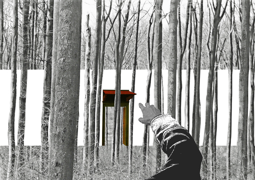 Mano_foresta_large