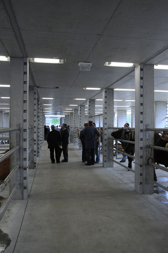 Interior-0342_large
