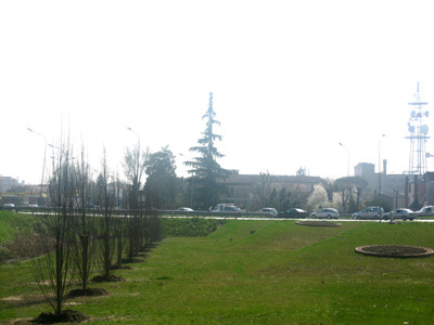 Rotvialporad_010_large