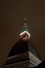 Mole_16032011_012_normal