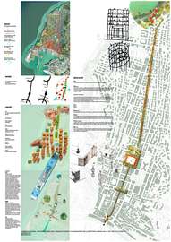 Ancona_master_normal
