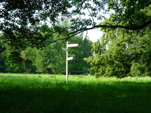 Dscn1733_large