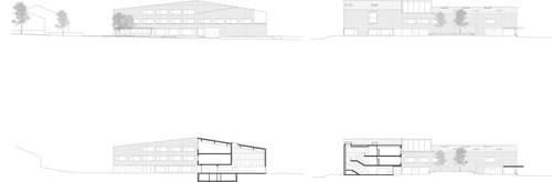 Mcm-apples-drawings-3_large