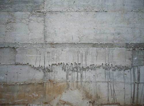 367528949_large