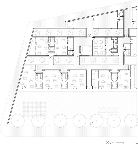 Planta_large