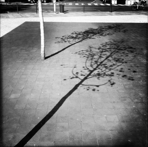 Ec_piazza_xxiv_maggio_12_large