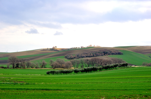 Dsc_0204_large