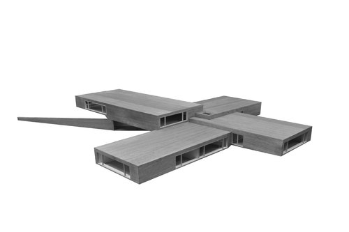 Image-1_large