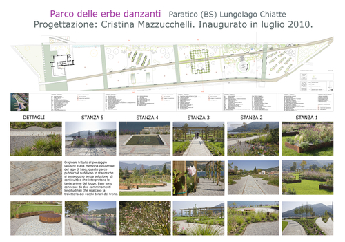 Paraticocristina_large