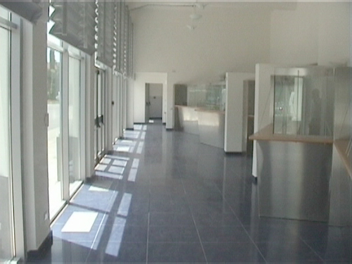 Vigili3_large