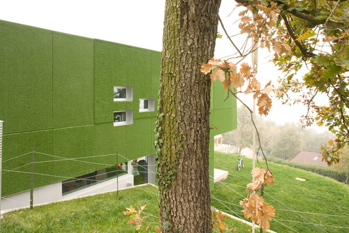 Green-vision-_3__large