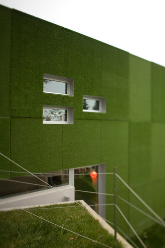Green-vision-_4__large