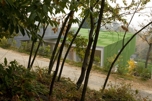 Green-vision-_5__large