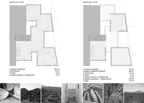 Plantas2_large