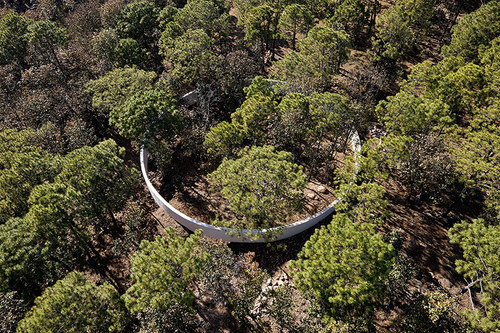 Ruta-peregrino-5761_large