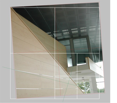Grafica6_large