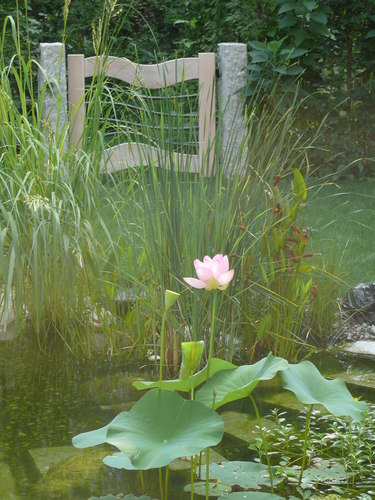 Natura_p1070470_large