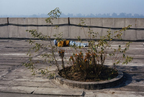 Chandigar13_large