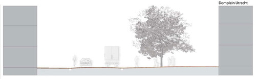 20100216-profiel-domplein_large