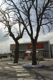 Centro_commerciale_a_sant_egidio_alla_v