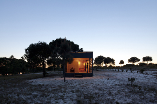 Copertina_large