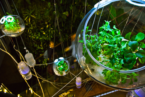 03_hydrocobweb-studiomobile_large