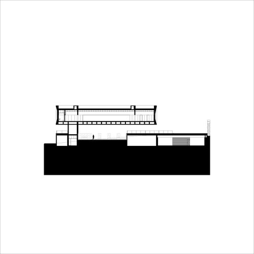 Pjg_07_large