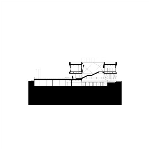 Pjg_10_large