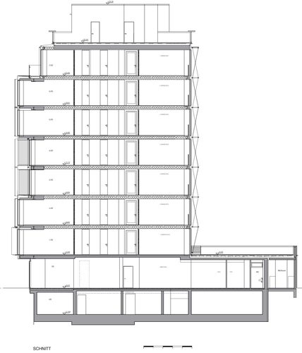 F40_schnitt_large