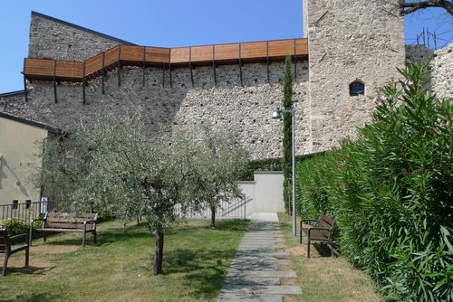 P1050476_large