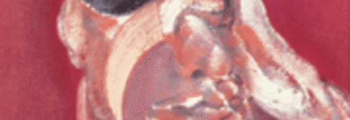 Open-uri1311-2-bacon-heriette_large