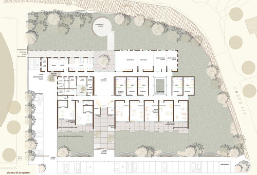 Pianta_large
