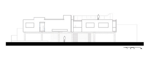 Celis-seccion-1_large