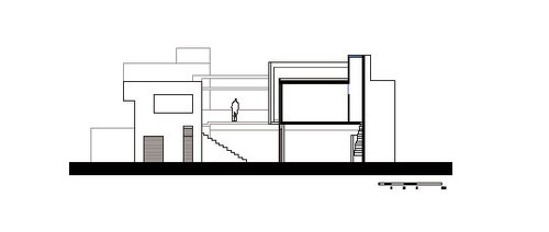 Celis-seccion-3_large