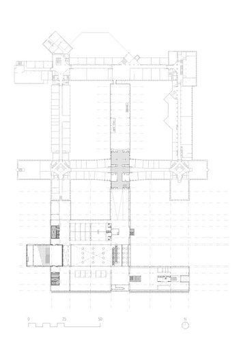 Planta__1_large